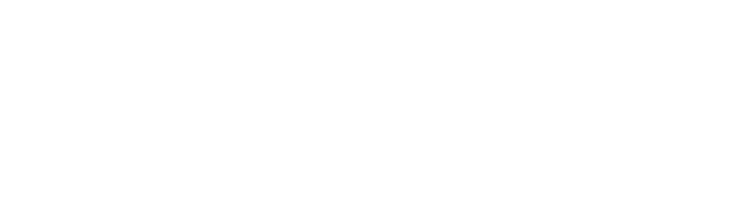 you-are-a-ceo-white