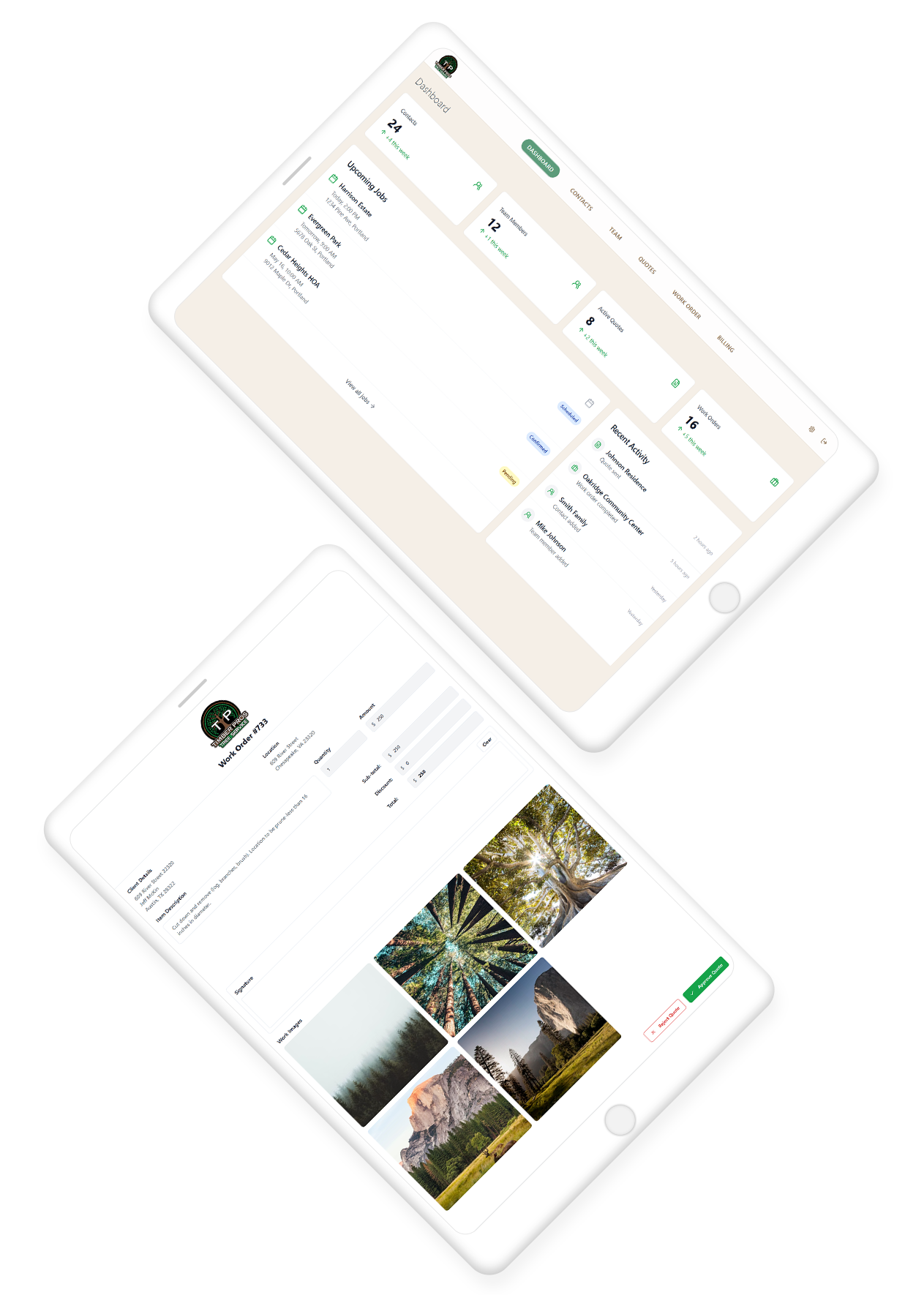 timber-case-study